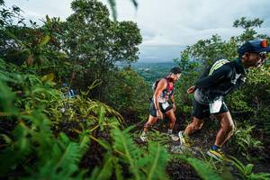 BIB: 
                            <button type="button" onclick="openModal(26196479)" class="btn btn-primary btn-sm float-right btn-popup" data-toggle="modal" data-target=".modal-high-quality">
                        <i class="fas fa-shopping-cart"></i> Add to Cart
                    </button>
                                            <button type="button" onclick="isThisMe(26196479, true)" class="btn btn-success btn-sm float-right btn-popup btn-isme hidden" data-toggle="tooltip" data-placement="bottom" title="นี่คือรูปของคุณใช่ไหม คลิกที่นี่เพื่อเอาเข้าอัลบั้ม">
                        <i class="fas fa-plus"></i> Add to album
                    </button>
                    <button type="button" onclick="isThisMe(26196479, false)" class="btn btn-warning btn-sm float-right btn-popup btn-isnotme hidden">
                        <i class="fas fa-ban"></i> Remove from album
                    </button>